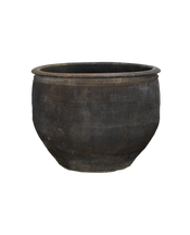 Water Planter