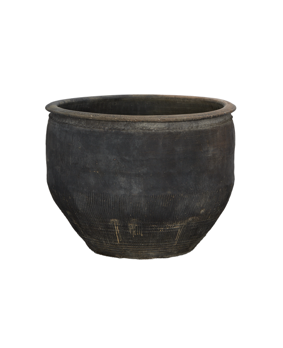 Water Planter