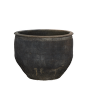 Water Planter