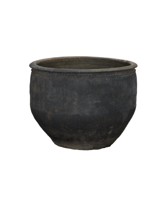 Water Planter