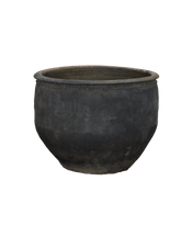 Water Planter
