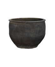 Water Planter