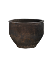 Water Planter