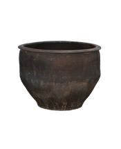 Water Planter