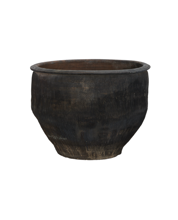 Water Planter