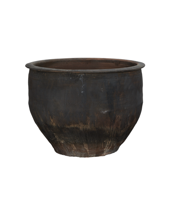 Water Planter