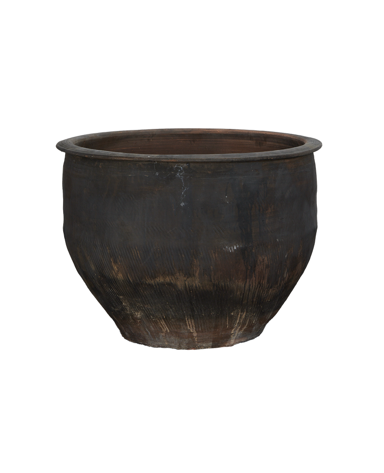 Water Planter