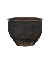Water Planter