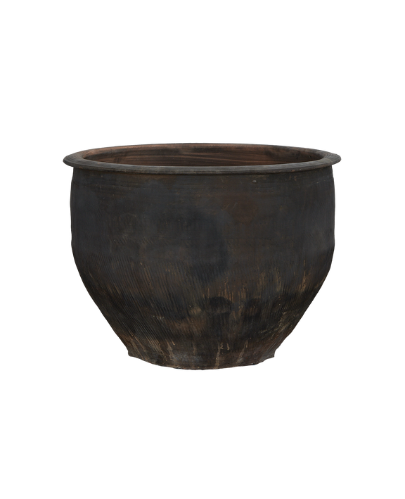 Water Planter