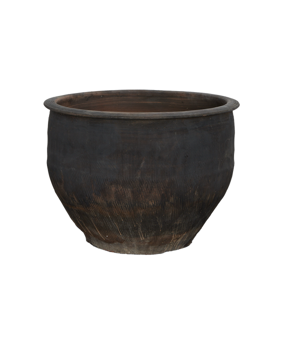 Water Planter