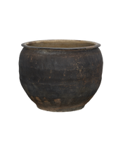 Water Planter