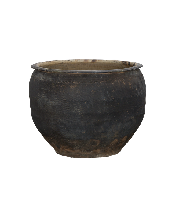 Water Planter