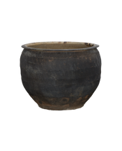 Water Planter