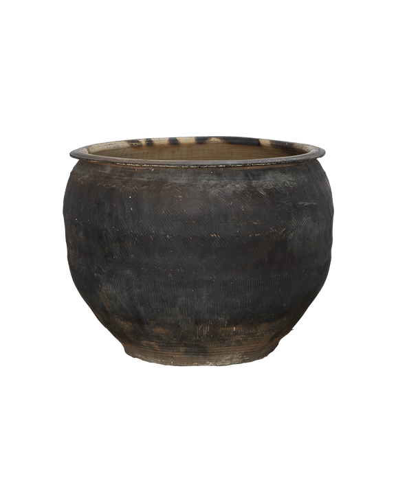 Water Planter