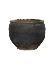 Water Planter