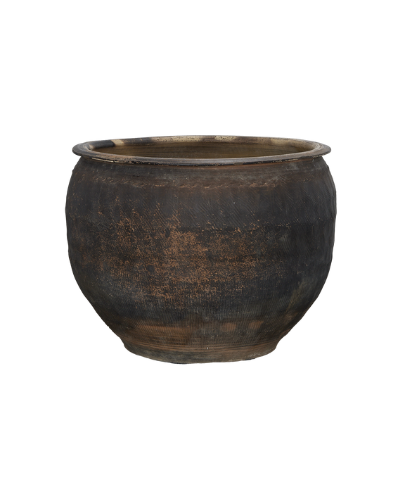 Water Planter