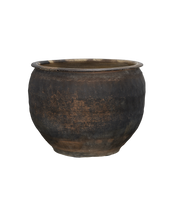 Water Planter