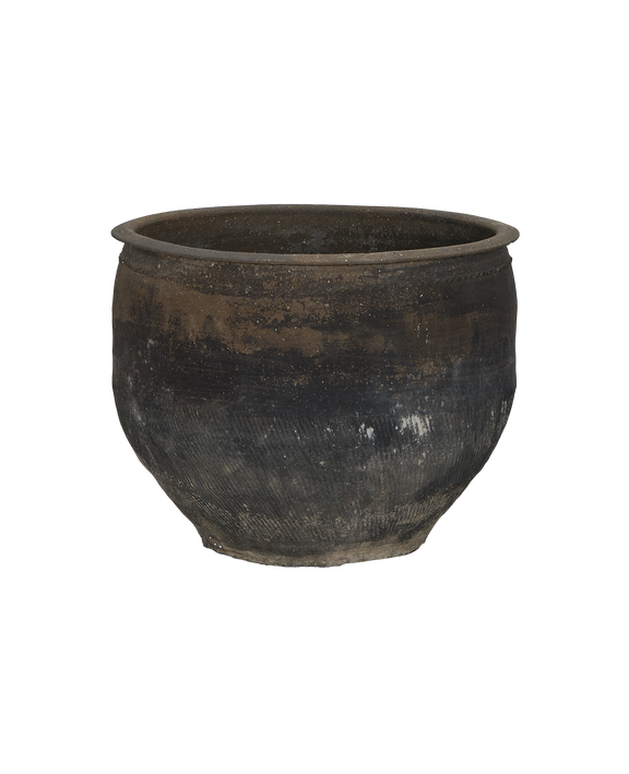 Water Planter