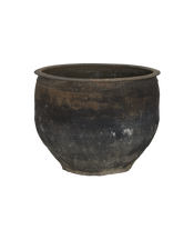 Water Planter