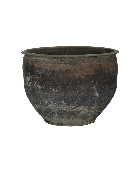 Water Planter