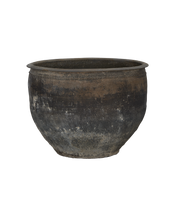Water Planter