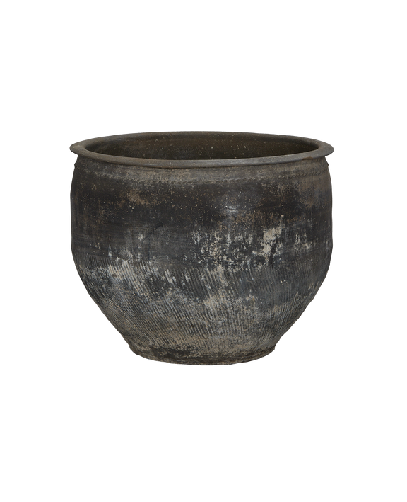 Water Planter