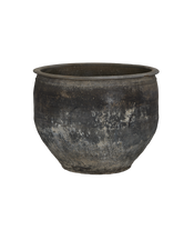 Water Planter