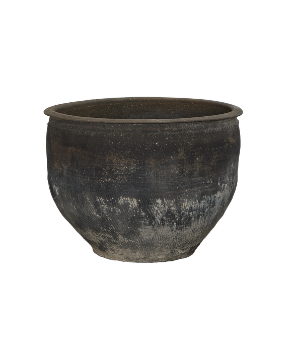 Water Planter