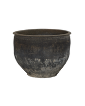Water Planter