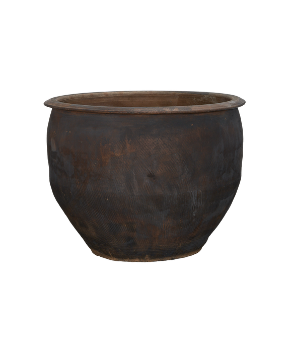 Water Planter