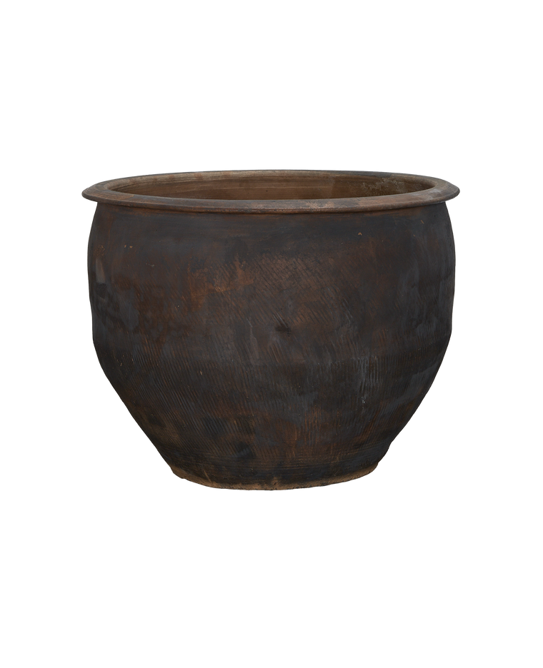 Water Planter