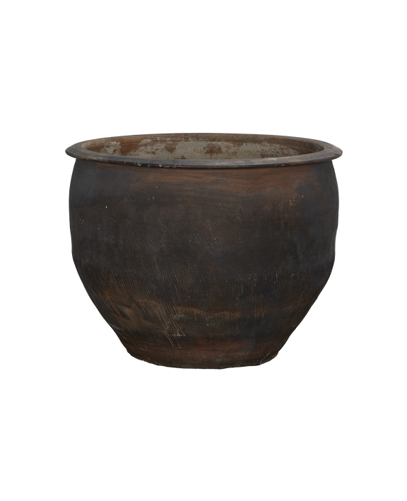Water Planter