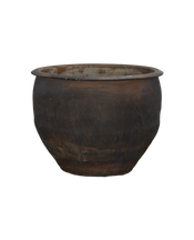 Water Planter