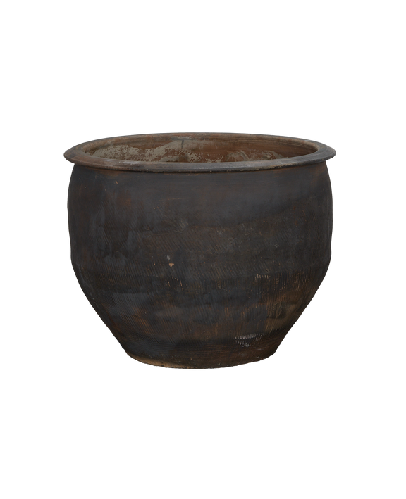 Water Planter