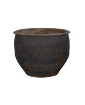 Water Planter