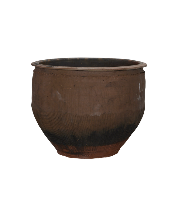 Water Planter