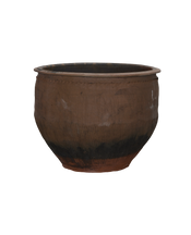 Water Planter