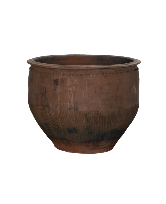 Water Planter