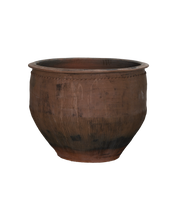 Water Planter