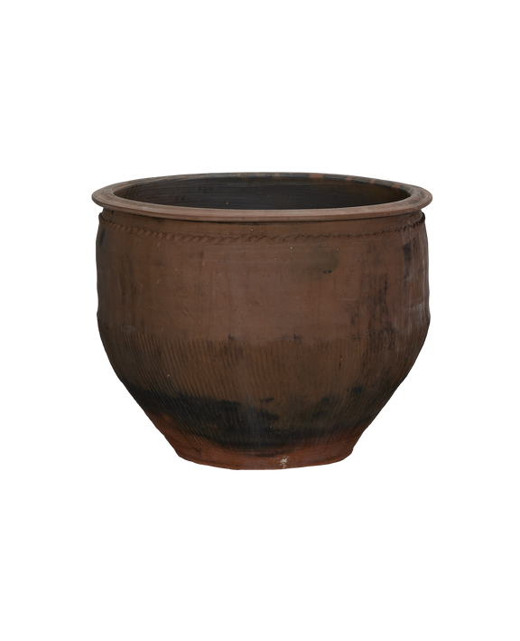 Water Planter