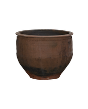 Water Planter