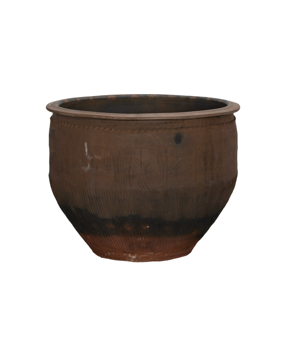 Water Planter