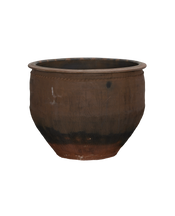 Water Planter
