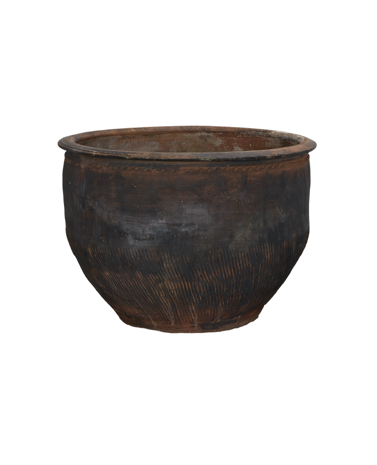 Water Planter