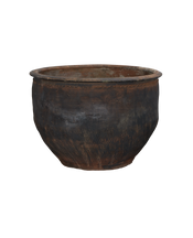 Water Planter