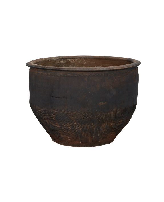 Water Planter