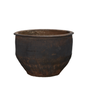 Water Planter