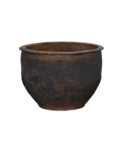 Water Planter