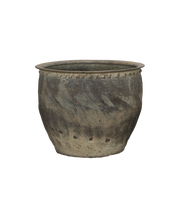 Water Planter