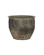 Water Planter
